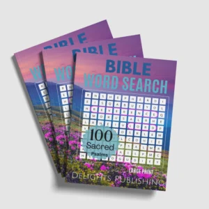 top view of 3 Bible word search books