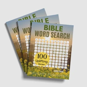 top view of 3 Bible word search books